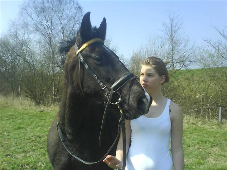 Traver Vindinggaards vikctoria billede 2