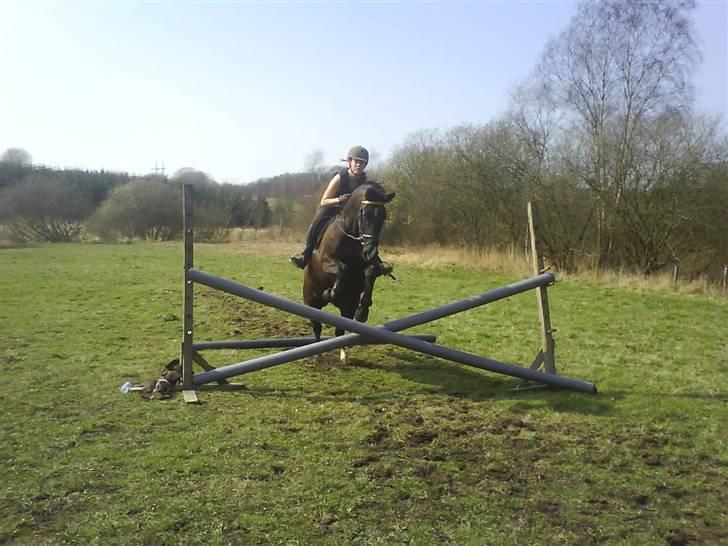 Traver Vindinggaards vikctoria billede 5