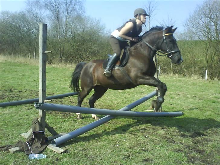 Traver Vindinggaards vikctoria billede 17