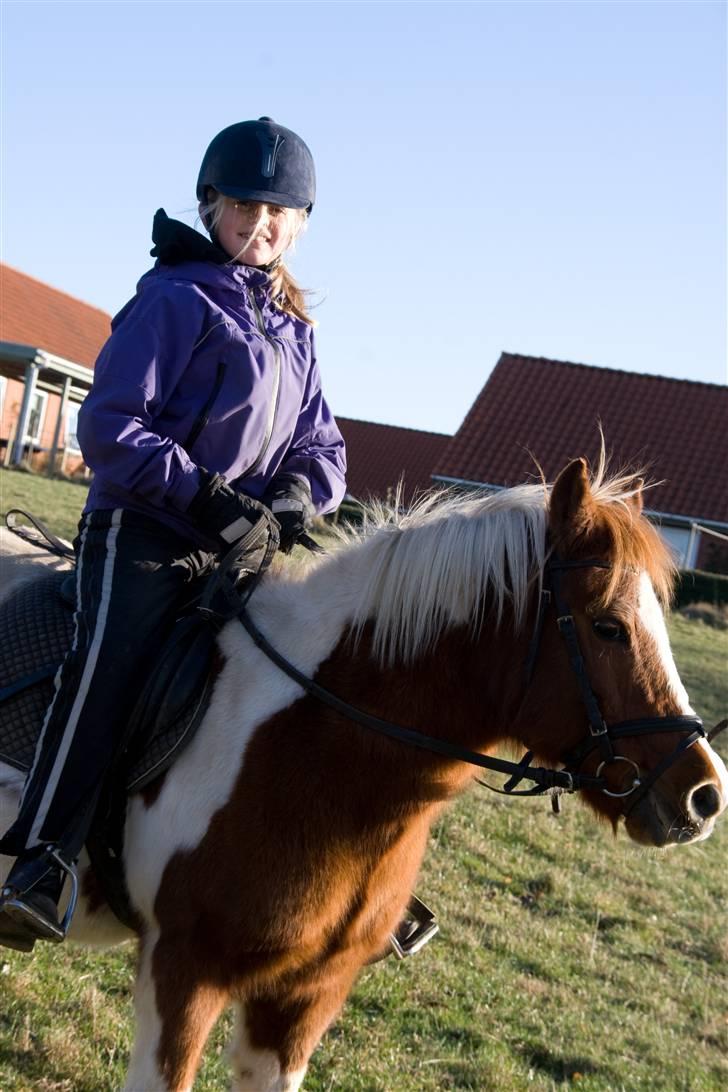 Pinto Pippi billede 3