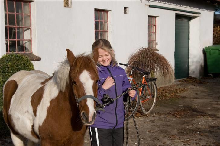 Pinto Pippi billede 4