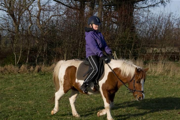 Pinto Pippi billede 5