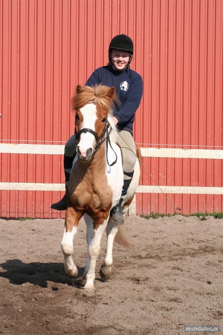 Anden særlig race hubert<33(elsketogsavnet) billede 2