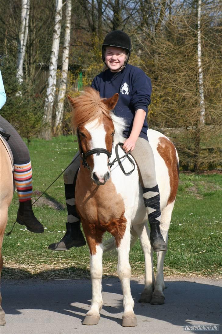 Anden særlig race hubert<33(elsketogsavnet) billede 4