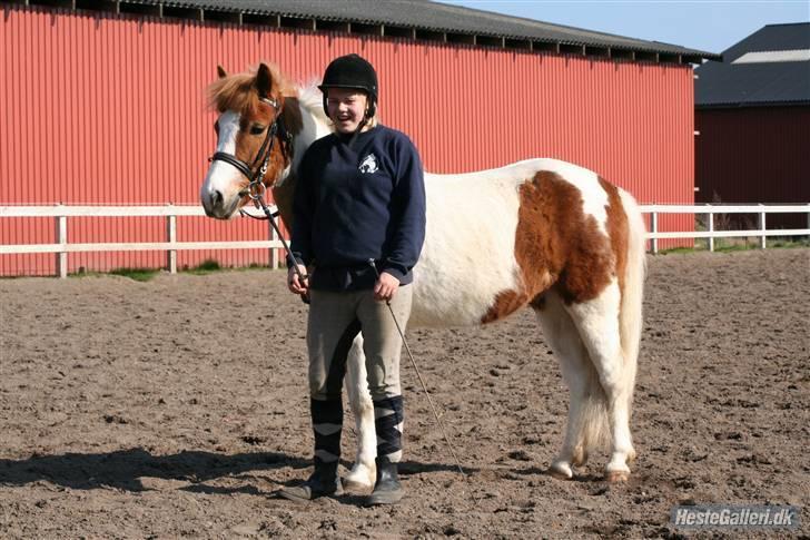 Anden særlig race hubert<33(elsketogsavnet) billede 7