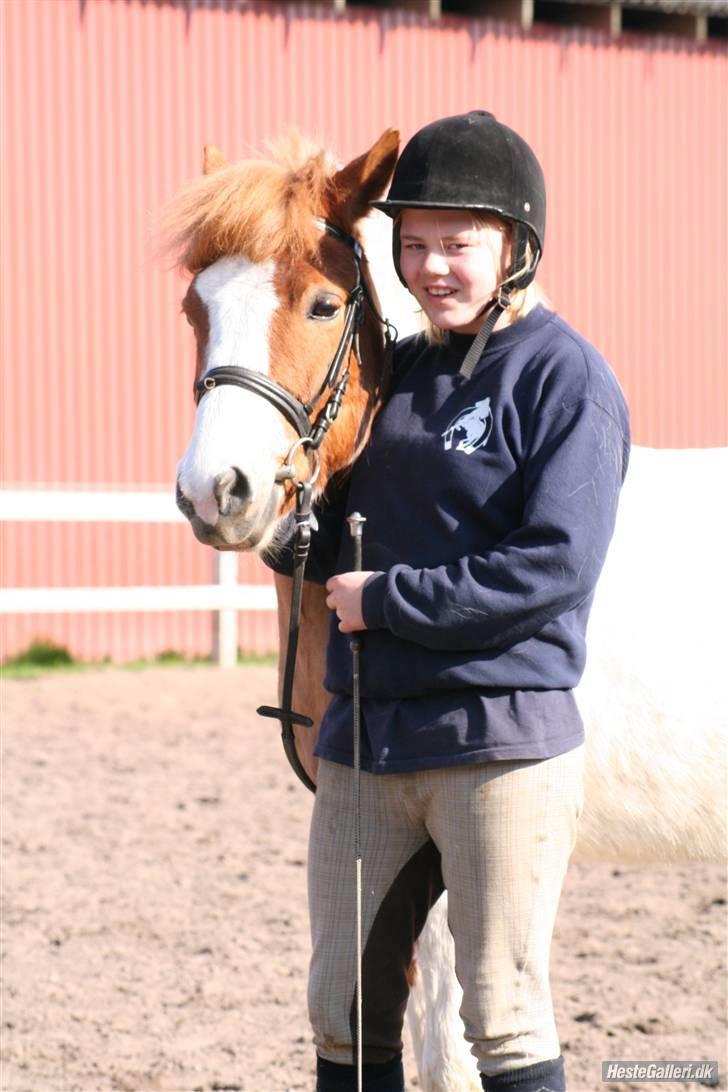 Anden særlig race hubert<33(elsketogsavnet) billede 9