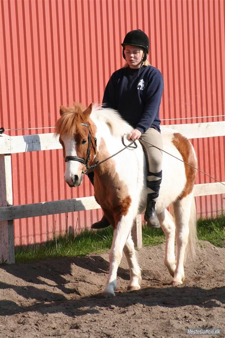 Anden særlig race hubert<33(elsketogsavnet) billede 10