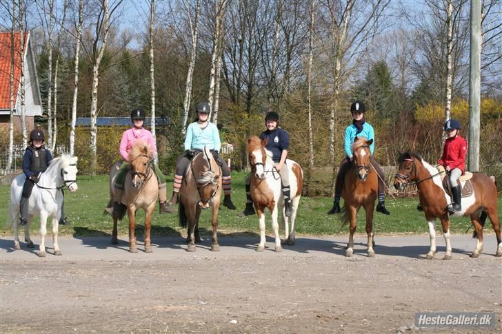 Anden særlig race hubert<33(elsketogsavnet) - her er rikke og vigo, emma og frederik,duddi og bella,mig og hubert,emma og picasso,rikke og trille billede 13