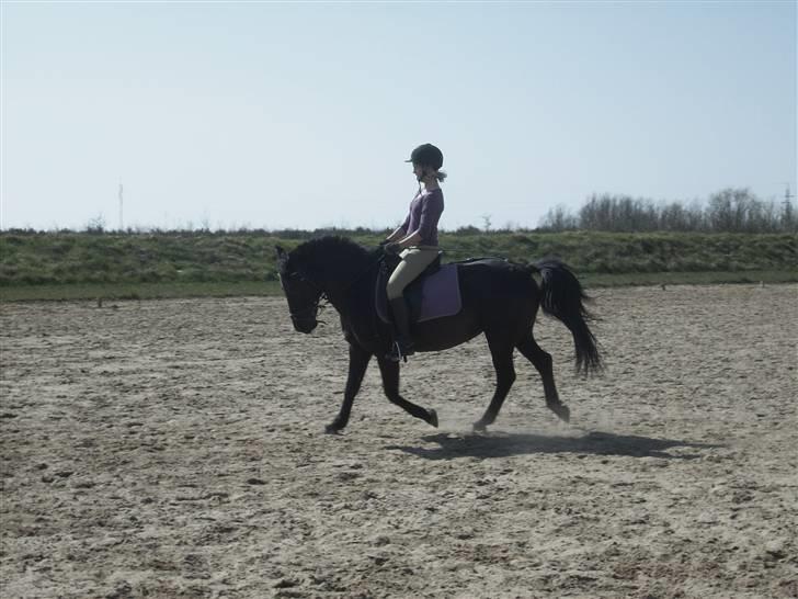 Anden særlig race Luna  - I love you. even if you are not there. even if you cant hear me. I love you - Jared Howe <3  billede 5