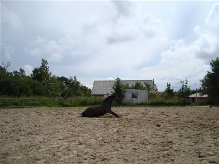 Anden særlig race Luna  - why are you so horrible? - Because I love her more than you ever can! - Naomi Campbell & Katie Fitch <3  billede 6