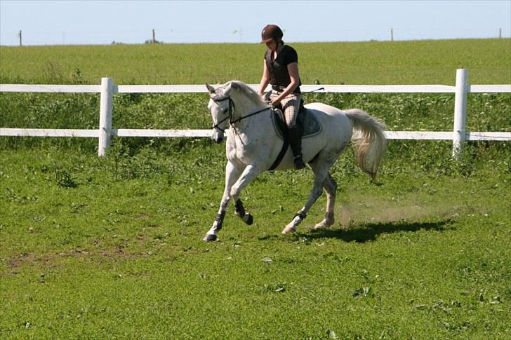 Anden særlig race Flash Lightness - Mig og Flash <3 jeg sider af lort.. men Flash er smuk ! :o) Foto: Marie xD <3 billede 4