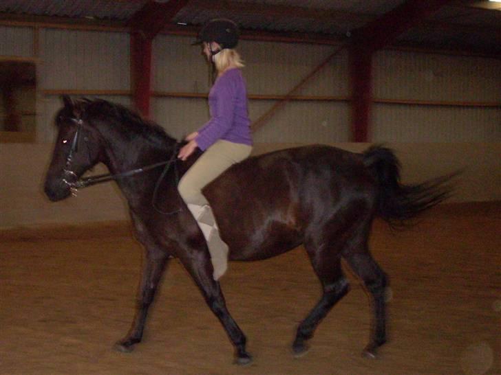 Anden særlig race Luna  - don't let it worry you. it's me. I'm extremely famous! - Ron Weasley <3  billede 9