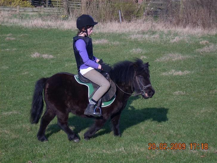 Anden særlig race Olga *solgt* billede 1