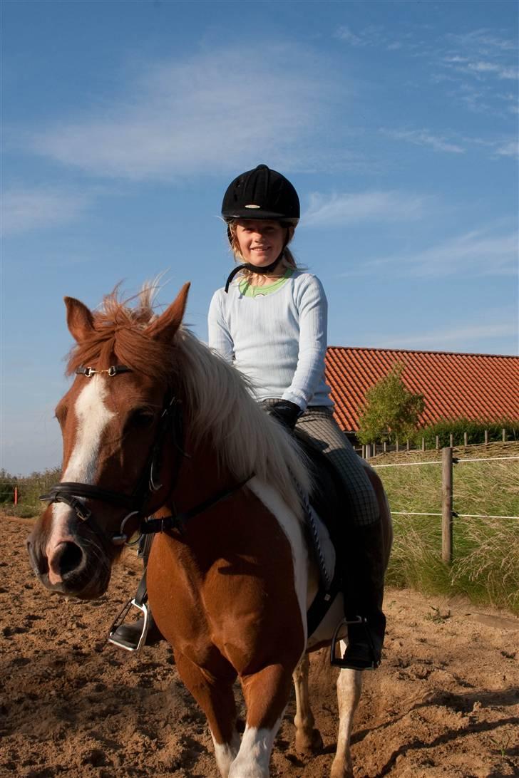 Pinto Pippi billede 6