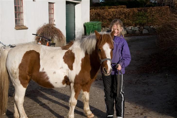 Pinto Pippi billede 7