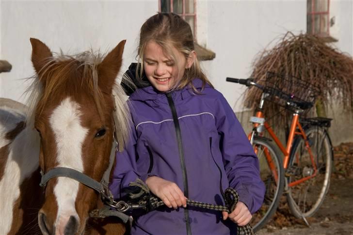 Pinto Pippi billede 8