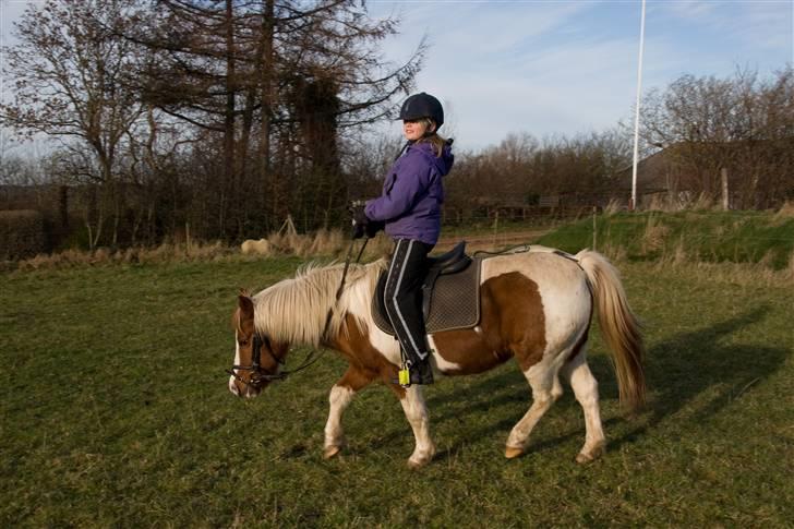 Pinto Pippi billede 9