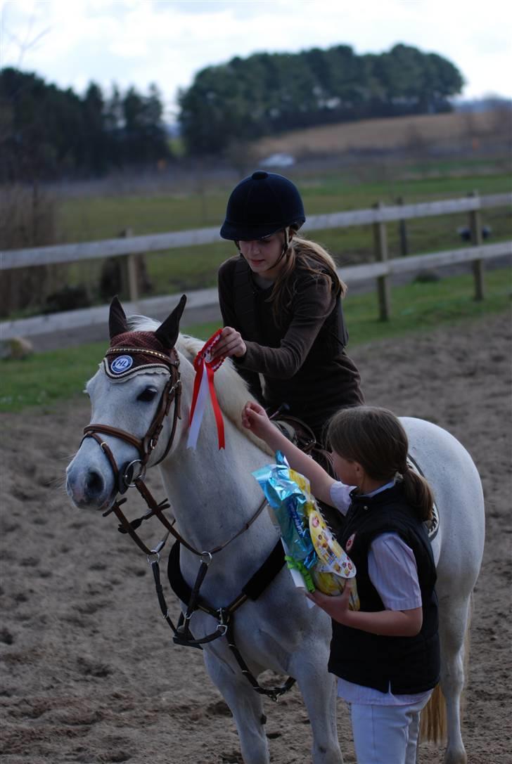 Welsh Partbred (Sec F) Emdegårdens Herculessolgt - Præmie overrakkelse, 1 pladsen var rigtig til Kiowa :) men hercules vandt en 3 plads :) billede 17