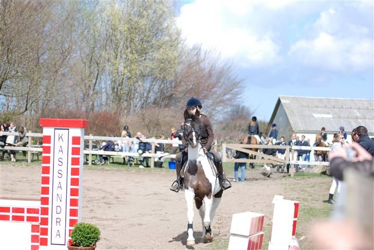 Tysk Sportspony Kiowa 006  *R.I.P* - Kiowa og mig til stævne på dyresten:) billede 9