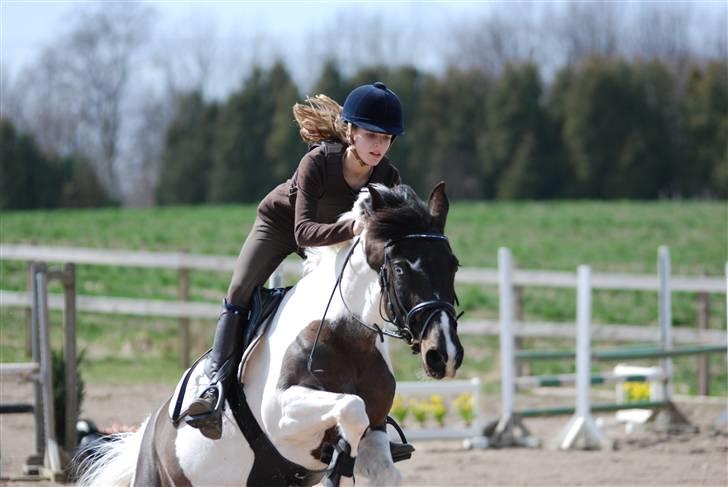 Tysk Sportspony Kiowa 006  *R.I.P* - Det samme som på billede 8 ;) billede 10