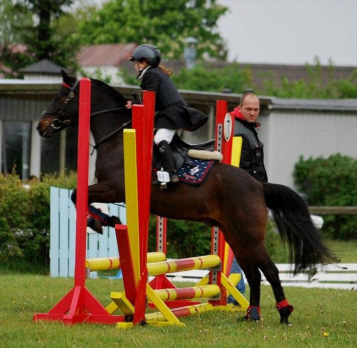 Anden særlig race Westergaard`s Mike-B-Pony - LC *-: billede 19