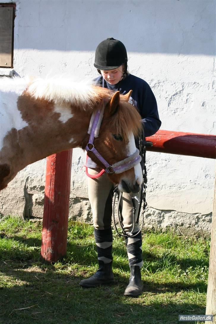 Anden særlig race hubert<33(elsketogsavnet) billede 17