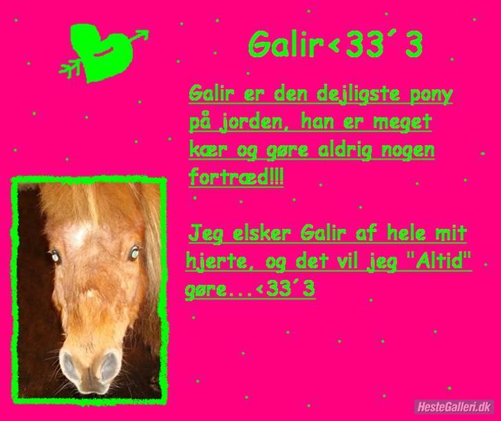 Anden særlig race Galir (R.I.P.) billede 11