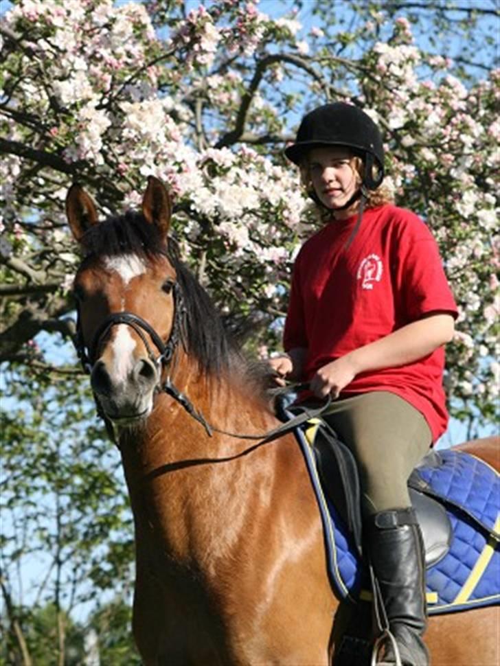 New Forest Blåbærhegnets Alfie - katrine og Alfie under æbletræ billede 1