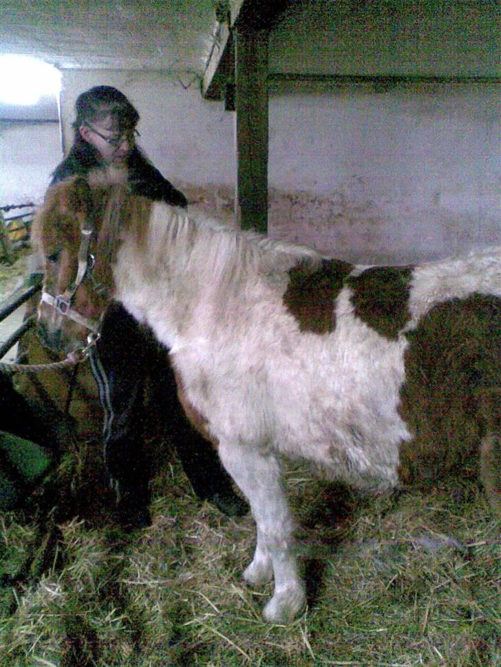 Anden særlig race Signe billede 10