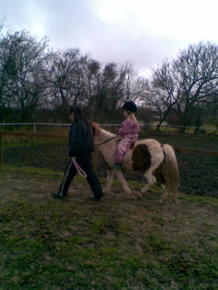 Anden særlig race Signe - Derefter gik kun fremad. billede 11