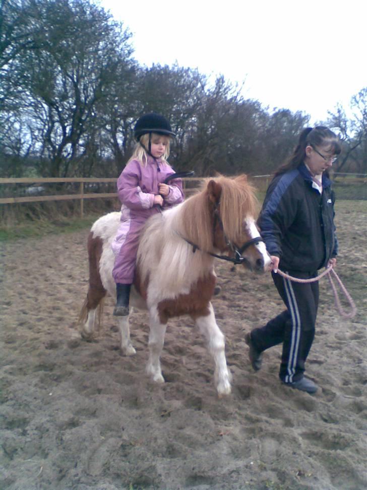 Anden særlig race Signe - Derefter gik kun fremad. billede 12