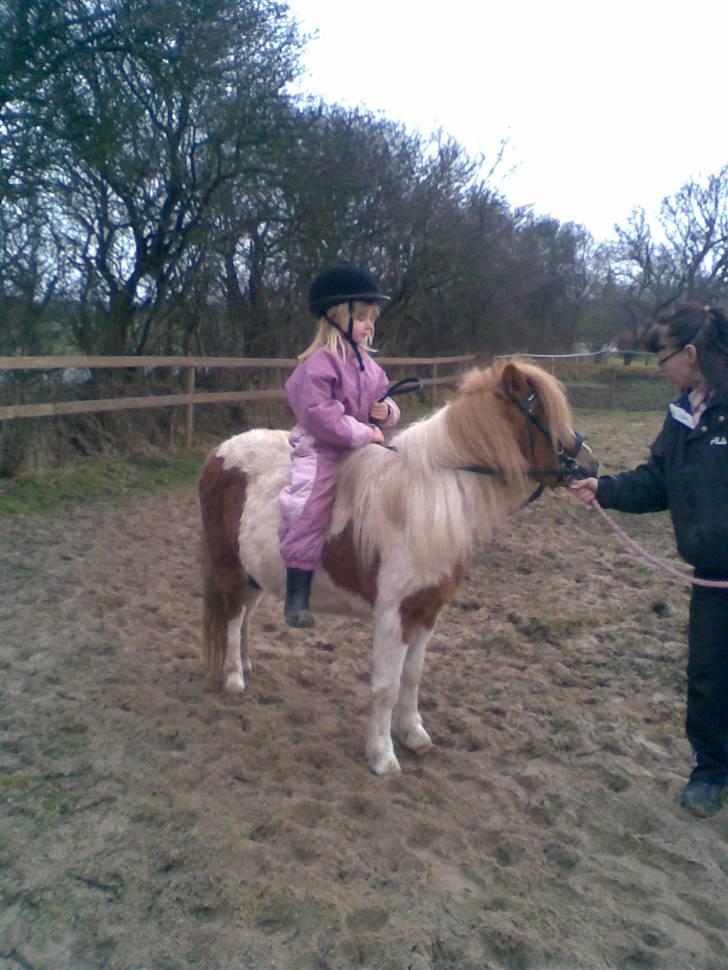 Anden særlig race Signe - Derefter gik kun fremad. billede 13