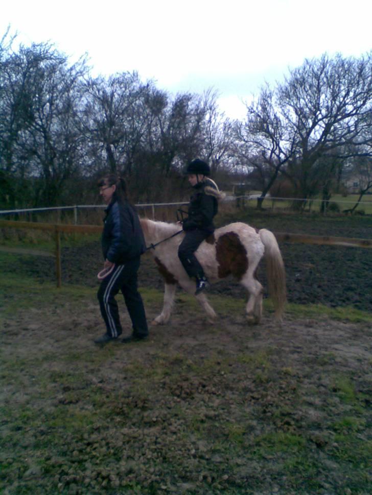 Anden særlig race Signe - Derefter gik kun fremad. billede 14