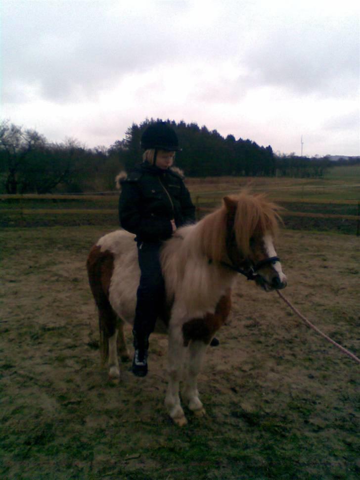 Anden særlig race Signe - Derefter gik kun fremad. billede 16
