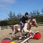 DSP | Ahorns May Star | Solgt