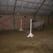 Belgier Lukas Af Felixmi. solgt