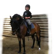 Dartmoor edermann ronda