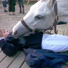 Welsh Pony (sec B) Korreborg's Gazella