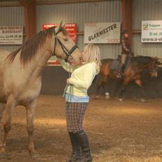 Anden særlig race Shikira R.I.P