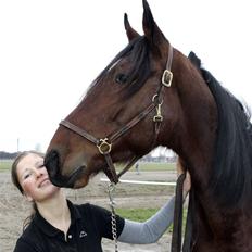 Traver Schimansky *passer* SOLGT