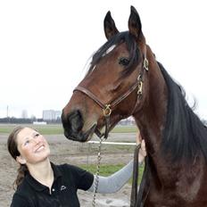 Traver Schimansky *passer* SOLGT