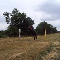 Anden særlig race Valde-solgt..;(