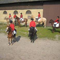 Anden særlig race Valde-solgt..;(