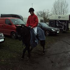 Anden særlig race Valde-solgt..;(