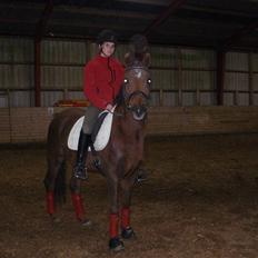 Anden særlig race Montoya<3