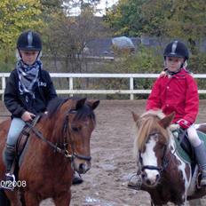 Anden særlig race lucas