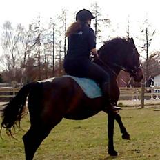 Anden særlig race Augusta <3 GL. PART <3 :(