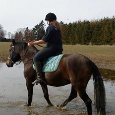 Anden særlig race Augusta <3 GL. PART <3 :(