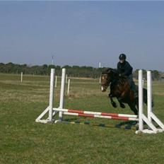 Anden særlig race Ida *Solgt*