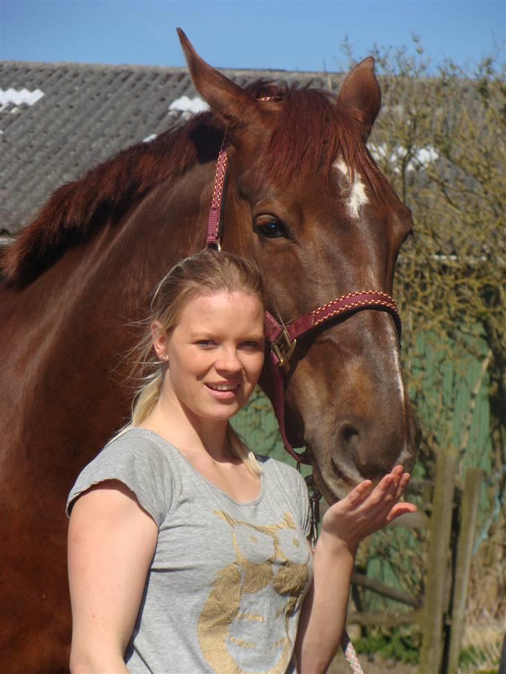 Dansk Varmblod {Rositta <3} SOLGT - - Hver dag er en udfording, et spil mellem dig og mig Rosin <3 billede 19